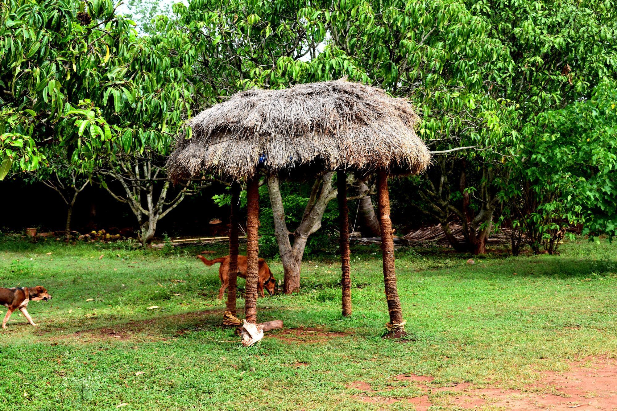 Our Native Village Gādigarpālya Exterior foto